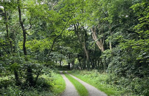 Wood Cottage - Photo 26