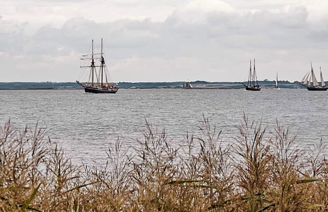 4 Person Holiday Home in Farso - Photo 76