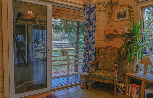 Metai Miške&a Year in the Forest - Photo 2