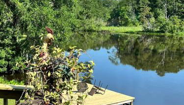 Tara's Riverfront Hideaway - Foto 2