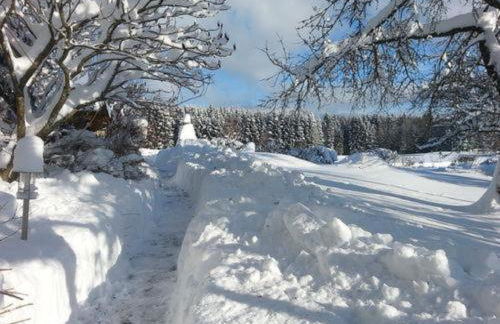 Ferienhaus Klingenbrunn - Foto 38