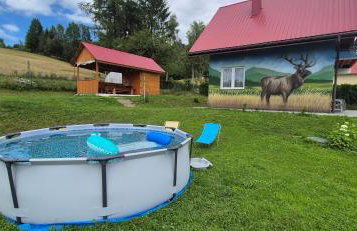 Domek Na Hawajach - Foto 20