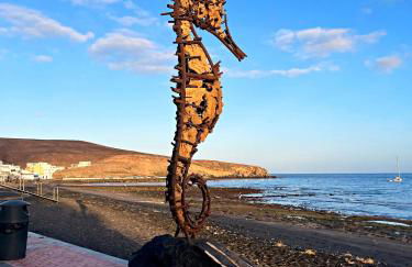 Cactus del Mar - Photo 29