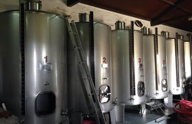 Quinta dos Espinheiros - Foto 22