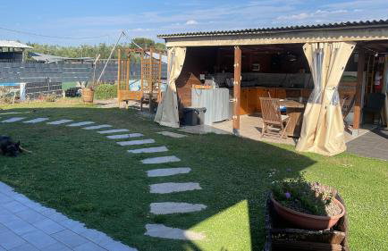il Mandriolo - Foto 18