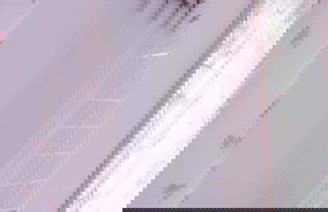 Manis-Manis Pink Lady Cottage - Foto 24