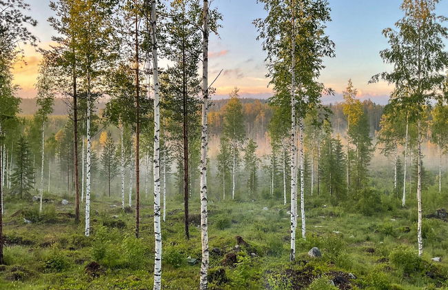 Bear Centre - Foto 24