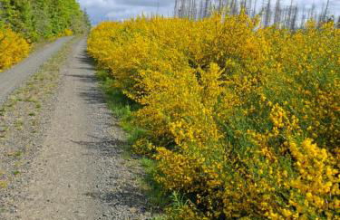 Hochwald chalet - Photo 22