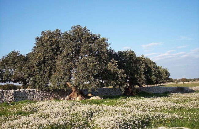 Case di Cutalia - Foto 38