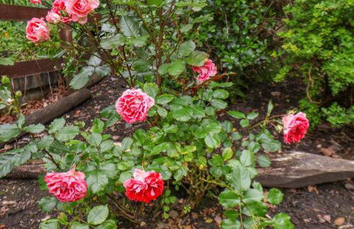 The Old Sweet Shop - Foto 44