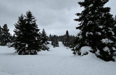 Anemoria Chalets-Castalia Chalet - Foto 52