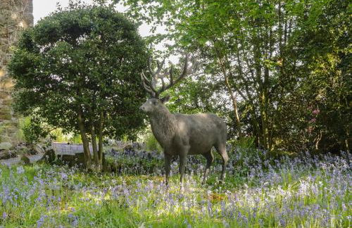 Fernhill Castle - Foto 59