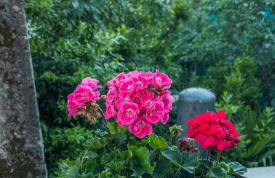 Kuća za odmor Iva - Foto 16