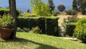 Residenza Belvedere -apartmán Lemon - Foto 4