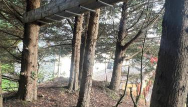 Sarah’s cottage - Photo 4