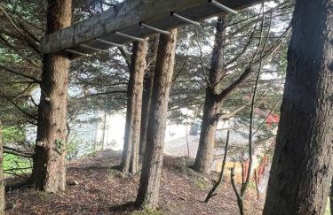 Sarah’s cottage - Foto 4