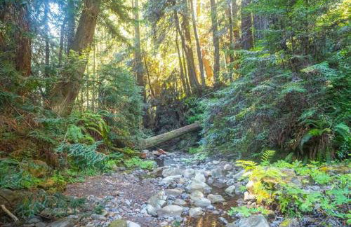 Driftwood Lodge~5 BR/7 Bath~30-acre Private Estate - Foto 38