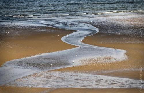 la Margaret Face mer - Foto 40