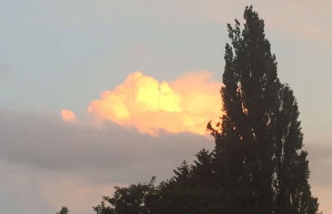 Hansel und Gretel - Foto 15