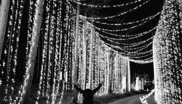 Beautiful Family Cabin with Cozy Interior and Exterior in Saint Croix Falls, Wisconsin - Foto 3