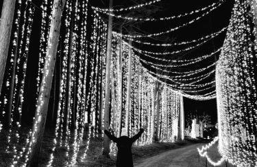 Lakefront Cottage Fully Equipped with Excellent Location in Saint Croix Falls, Wisconsin - Foto 2