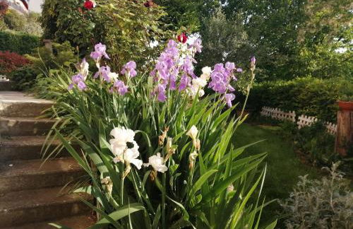 La Terrazza sul Monferrato - Foto 44
