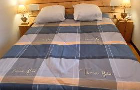 Appar T2 3 lits vue montagne terrasse vielle aure - Foto 6