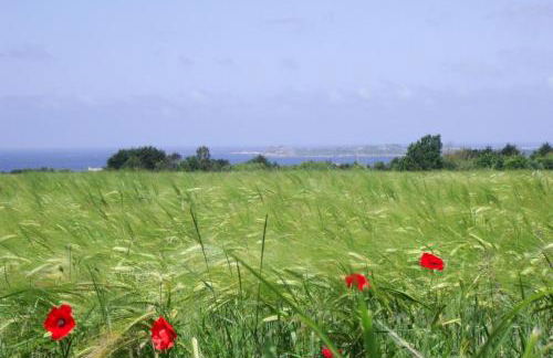 Stone House Near Rosa Granite Coast - Foto 34