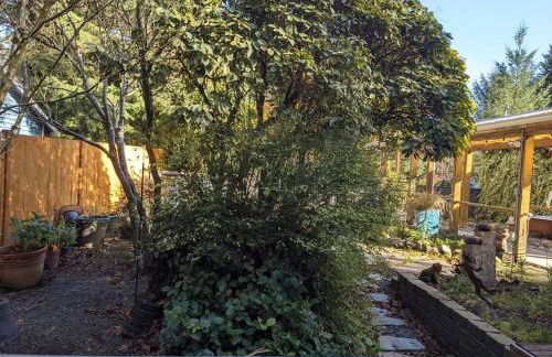 Little Bear's Bungalow; Log Cabin w/Mountain views - Foto 28