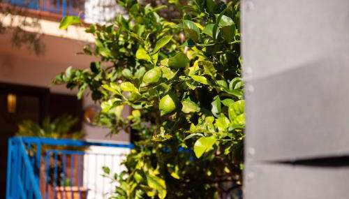 Solemar Sicilia - Villa Mariù - Foto 4, Garden view