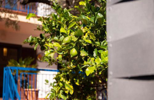 Solemar Sicilia - Villa Mariù - Foto 54