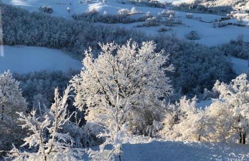 Riserva Del Frignano Appartaments - Photo 38