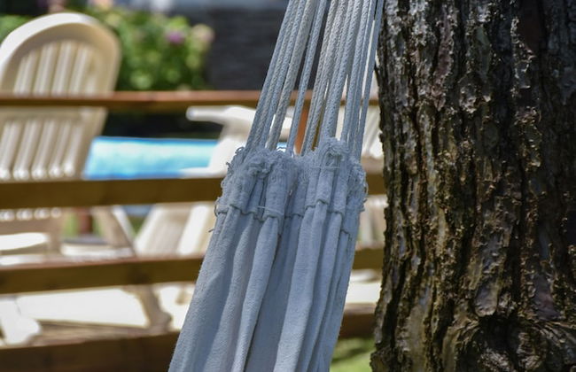 suites del bosque - Foto 48