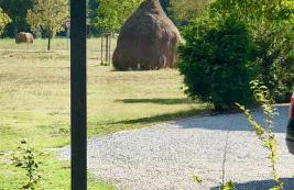 Ferienapartments Spreewaldwiesen - Foto 50