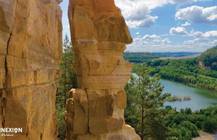 Chez Ninon - Photo 4