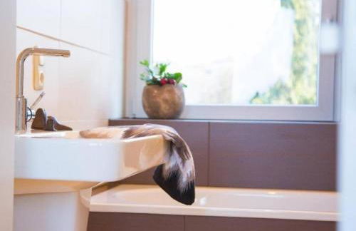 Lavish Holiday Home in Bad Munstereifel With Sauna - Foto 22