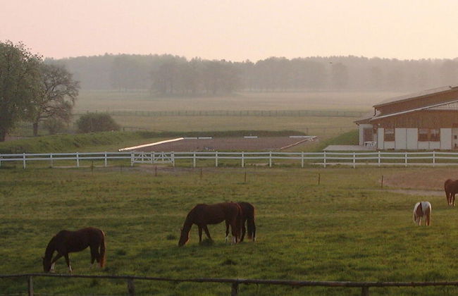 Land Fleesensee - Foto 16