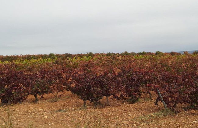 Belvilla by OYO Casa de Campo El Mirador - Foto 33