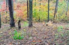 North Star Retreats - Foto 45