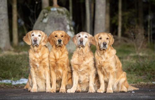 Landhaus Isolde - Foto 11