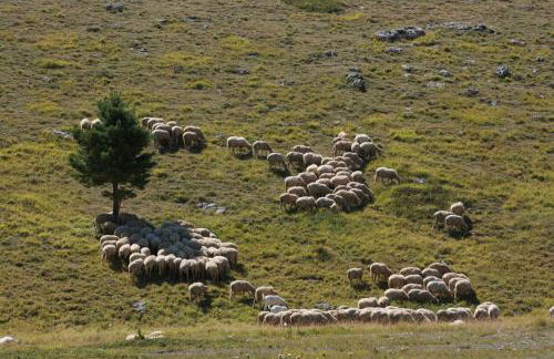 Residenza La Torre - Foto 62