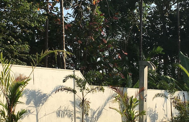 Silence Garden - Foto 27