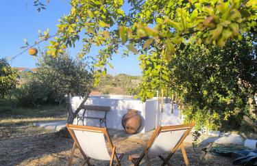 Monte das Andorinhas Alentejo - Foto 18