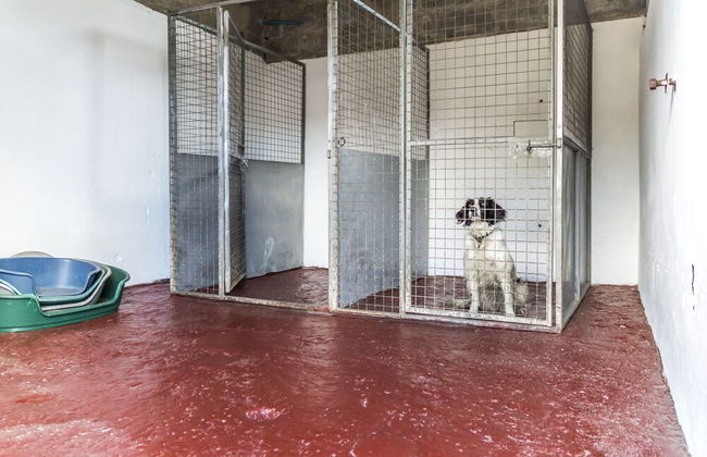 Ashgrove Farm - Llawhaden - Narberth - Foto 9