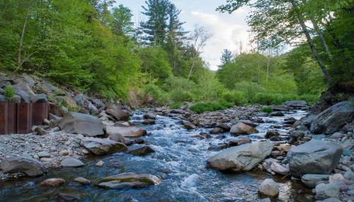 Private Cabin by River with Fireplace - Photo 4