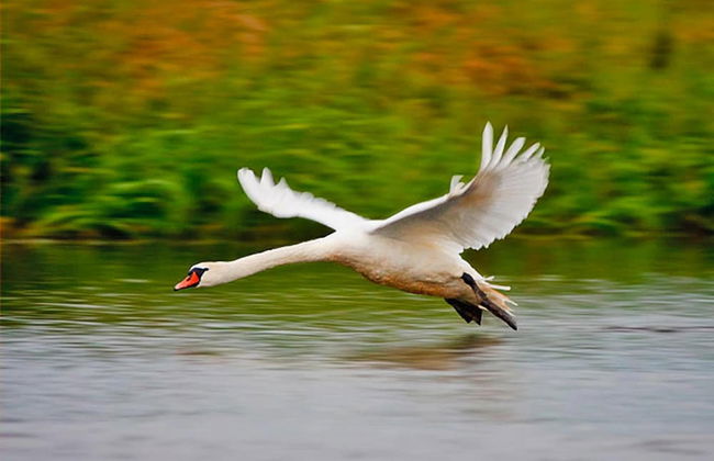 Holiday House by the Lake With a Fireplace - Photo 48