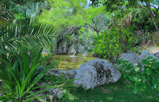 Tenuta di Roccadia - Foto 31