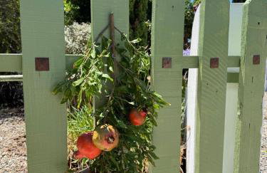 Casa Chica Boutique - Foto 64