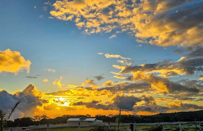 Almore Hotel - Foto 77