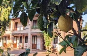 Il Ghiandolino - Foto 1